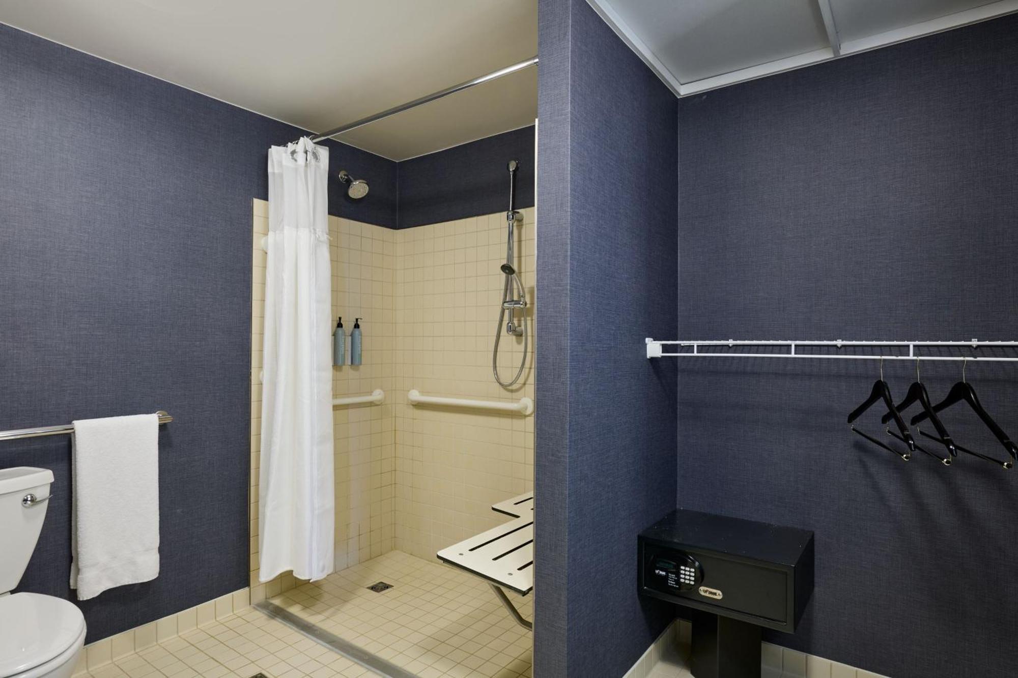 One-Bedroom King Suite City View Adapted Tub Mobility Accessible